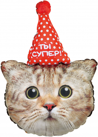 Шар фигура "Котик в колпаке",81 см Шар фигура "Котик в колпаке",81 см