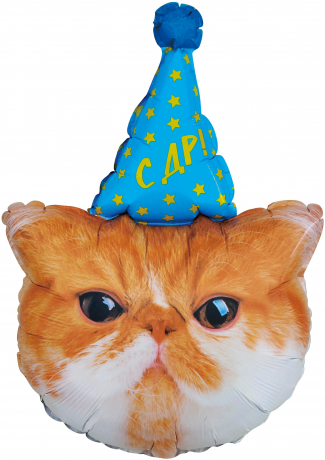 Шар фигура "Сердитый котик,в колпаке",81 см