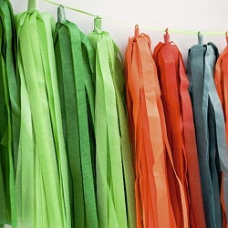 Тассел гирлянда салатовая Тассел гирлянда салатовая